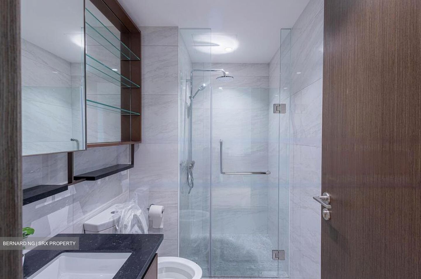 Normanton Park (D5), Apartment #455833621